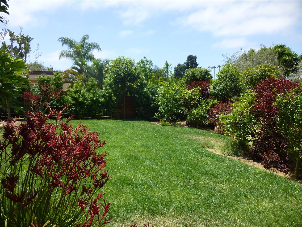 1048 Eolus Avenue Encinitas, CA 92024 - Photo 7 of 25