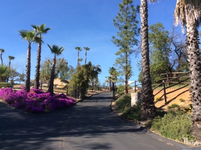 18110 Paradise Mountain Road Valley Center, CA 92082 - Photo 25 of 25