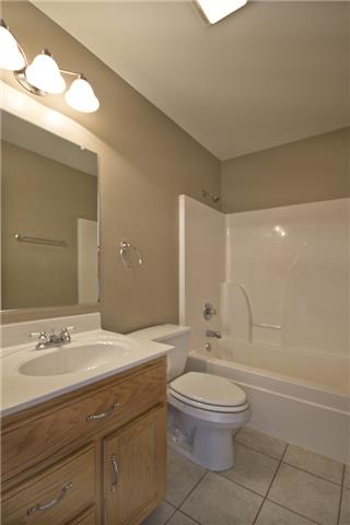 317 Red Oak Trail Spring Hill, TN 37174 - Photo 19 of 28 Hall Bathroom