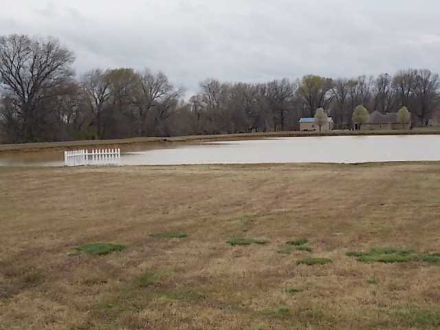 300 Cross Country Road Newbern, TN 38059 - Photo 5 of 23 Gallery Image 5