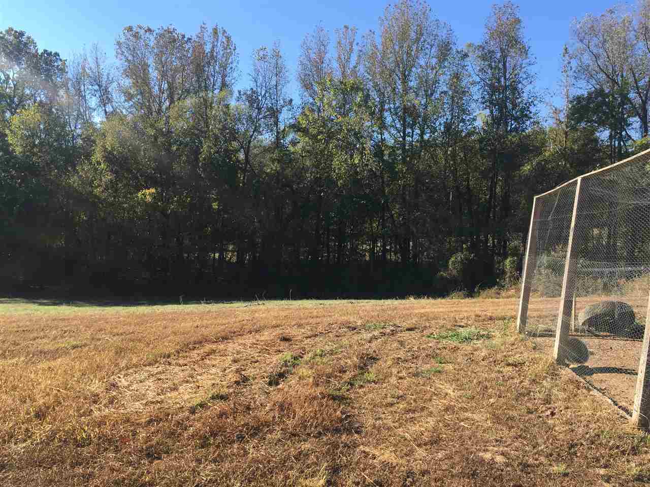 8481 Holly Grove Road Burlison, TN 38015 - Photo 25 of 25 Gallery Image 25