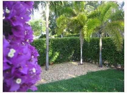525 Lakeview Drive Miami Beach, FL 33140 - Photo 11 of 11 Gallery Image 11