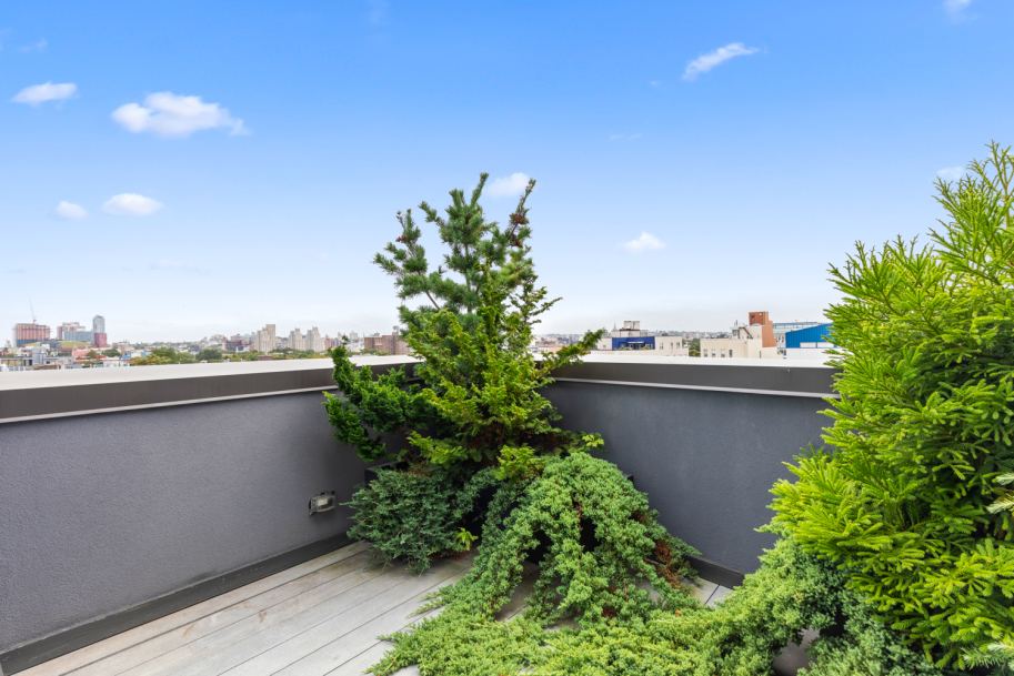 210 Pacific Street, Unit PH Brooklyn, NY 11201 - Photo 25 of 28