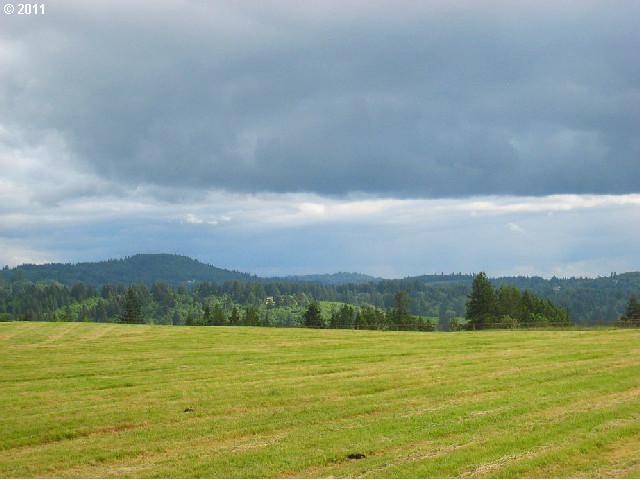 1371 Labarre Road Washougal, WA 98671 - Photo 9 of 16 Gallery Image 9