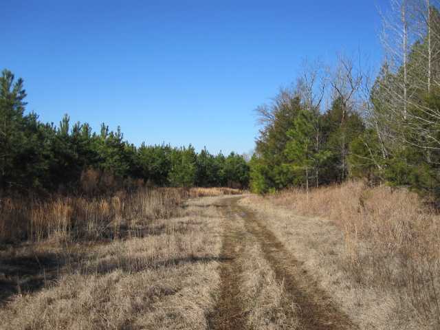 288 Mitchell Road Senatobia, MS 38668 - Photo 11 of 22 Gallery Image 11