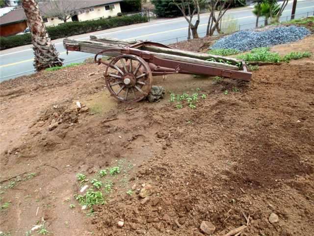 3600 Steele Canyon Road Jamul, CA 91978 - Photo 23 of 25 a yard with some charecter