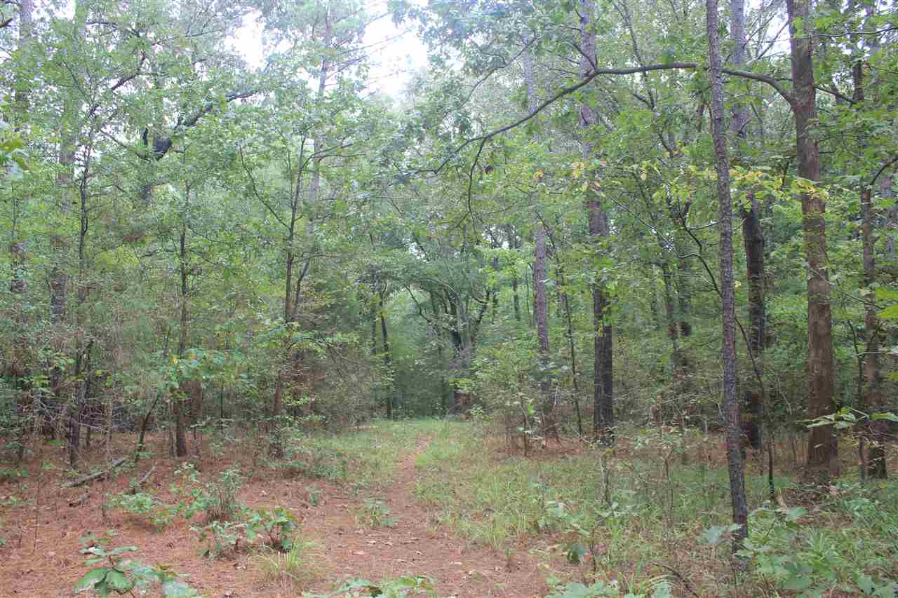 3200 North Red Banks Road Red Banks, MS 38635 - Photo 19 of 25 Gallery Image 19