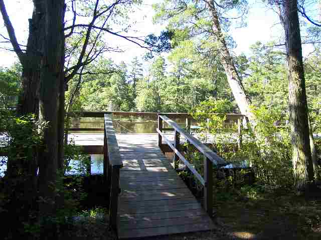 4663 Riverside Drive Sweetwater, NJ 08037 - Photo 8 of 9 Gallery Image 8
