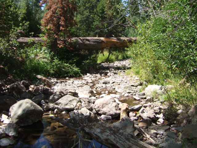 1441 Beaver Dam Trail Alpine Meadows, CA 96146 - Photo 3 of 9