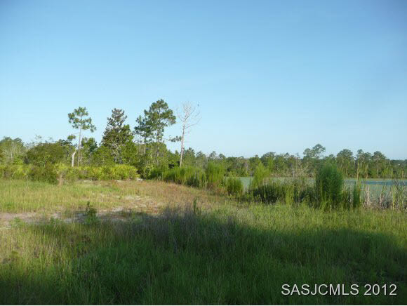 0 Race Track Road St. Augustine, FL 32084 - Photo 16 of 17 Gallery Image 16