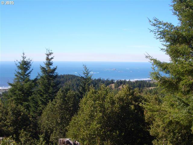 Grizzly Mountain Road, Unit 3A Gold Beach, OR 97444 - Photo 4 of 19 Gallery Image 4