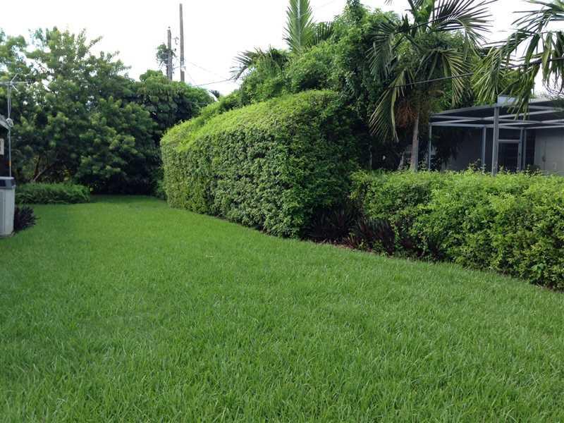 7981 Southwest 89th Terrace Miami, FL 33156 - Photo 5 of 8
