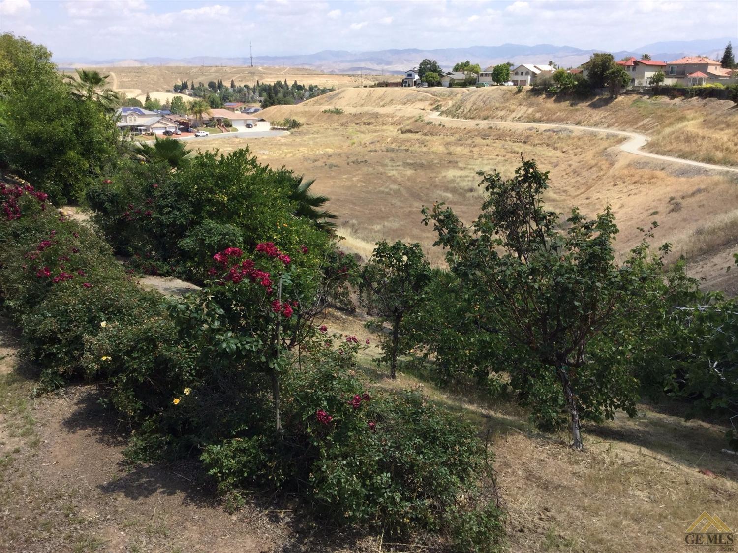 5008 Panorama Drive Bakersfield, CA 93306 - Photo 38 of 40 fruit trees at the hilly portion of the yard
