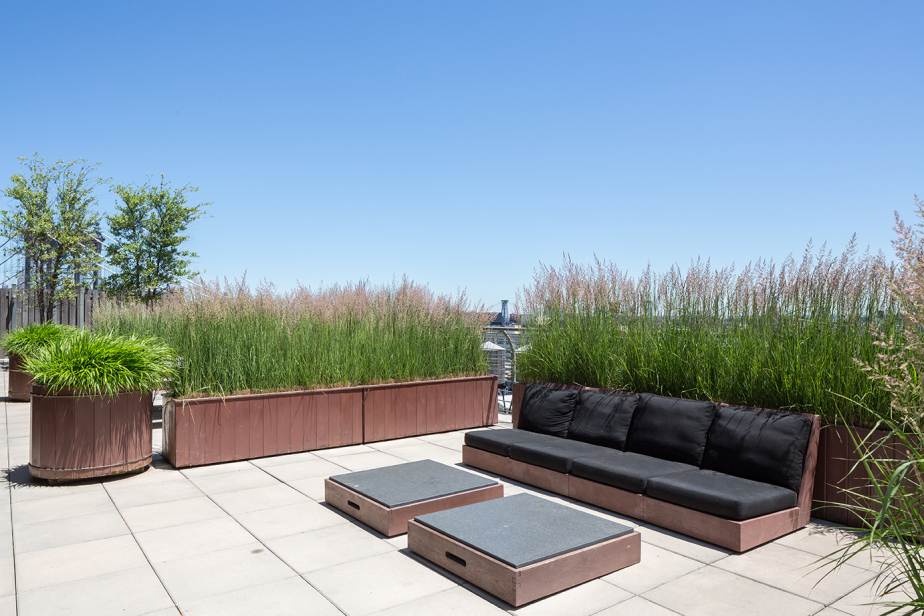 70 Washington St, Brooklyn, NY 11201 - Photo 6 of 8