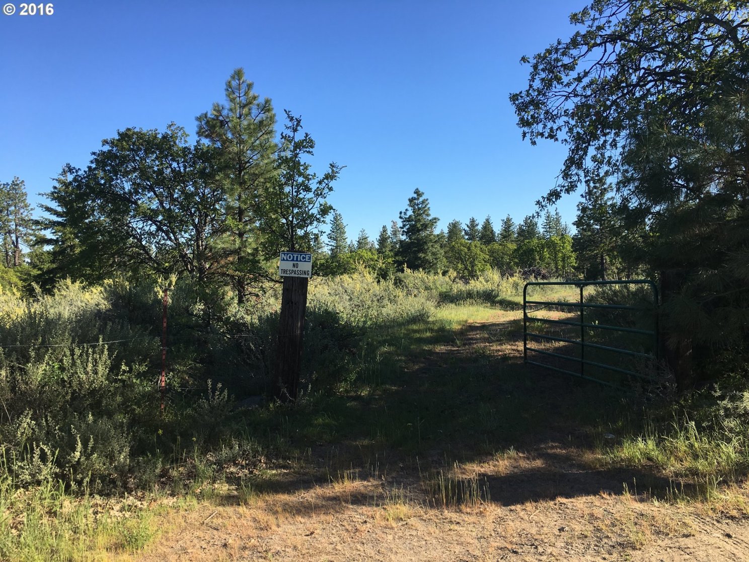 7805 Skyline Road The Dalles, OR 97058 - Photo 2 of 20 Gallery Image 2