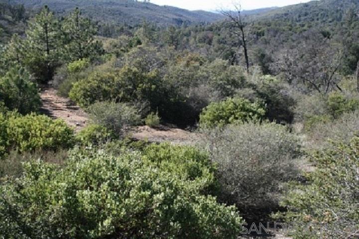 0 West Incense Cedar Road Julian, CA 92036 - Photo 25 of 25 Gallery Image 25