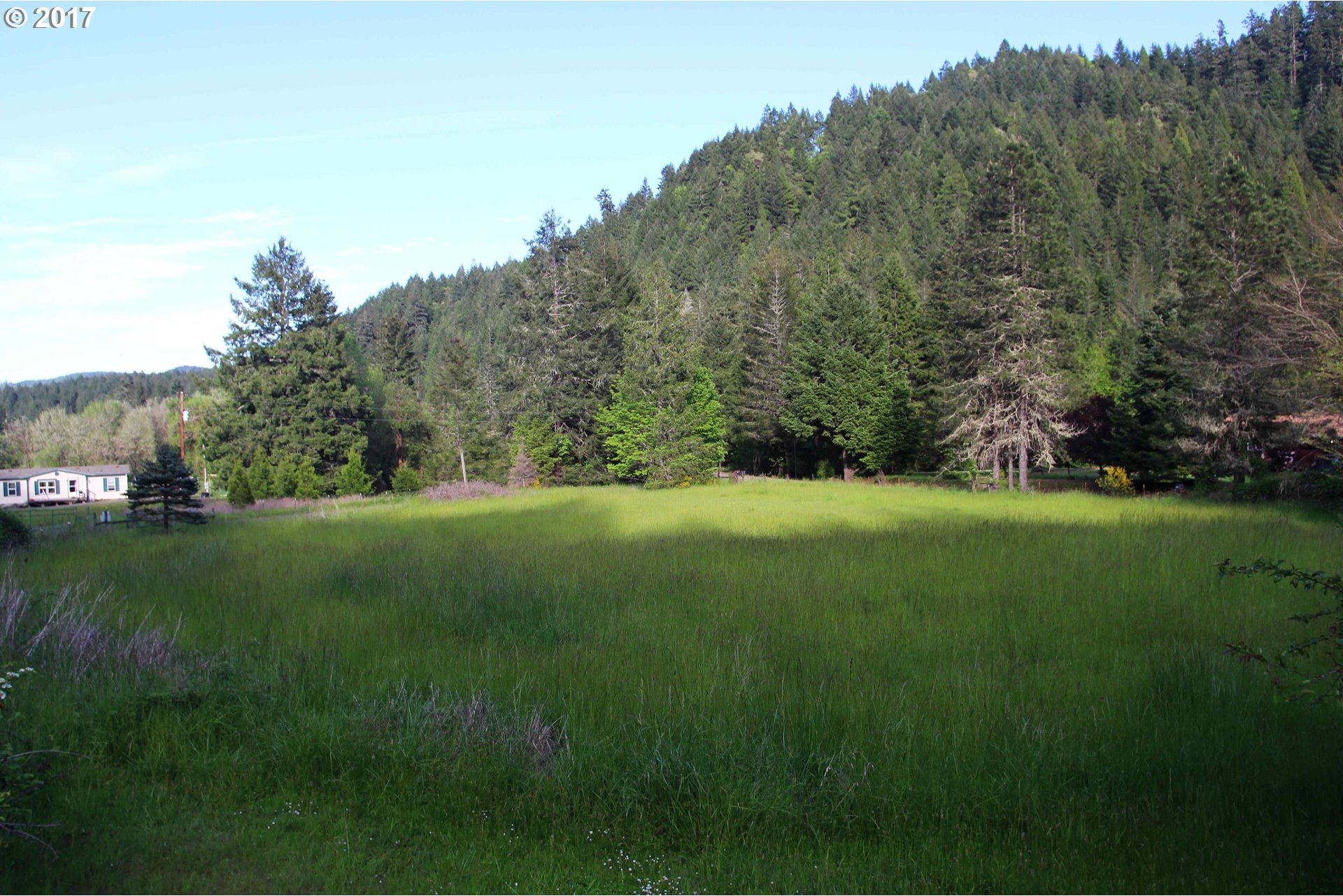 893 Skelly Road Yoncalla, OR 97499 - Photo 23 of 28 Gallery Image 23