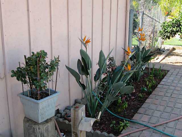 1147 East Fallbrook Street Fallbrook, CA 92028 - Photo 18 of 18