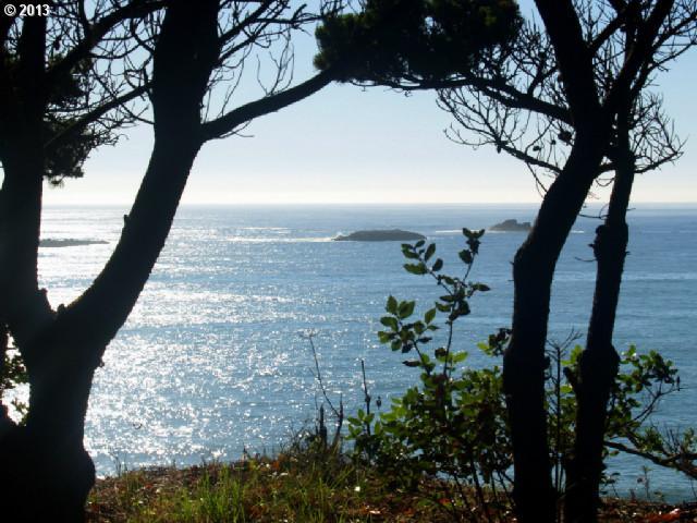 North Chantrelle Lane Gold Beach, OR 97444 - Photo 11 of 16