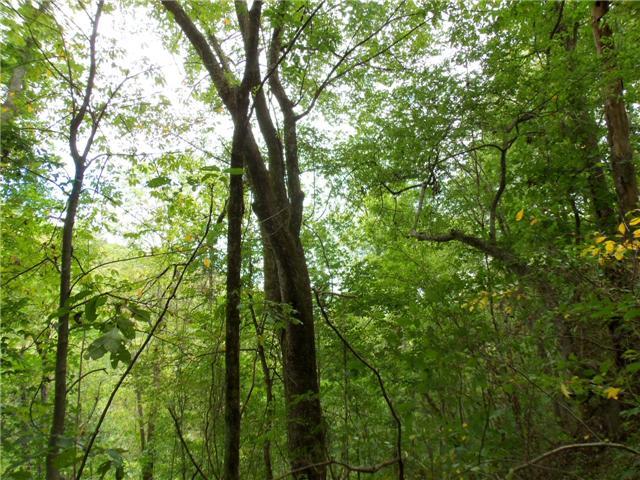 0 Adamson Branch Road Liberty, TN 37059 - Photo 4 of 9