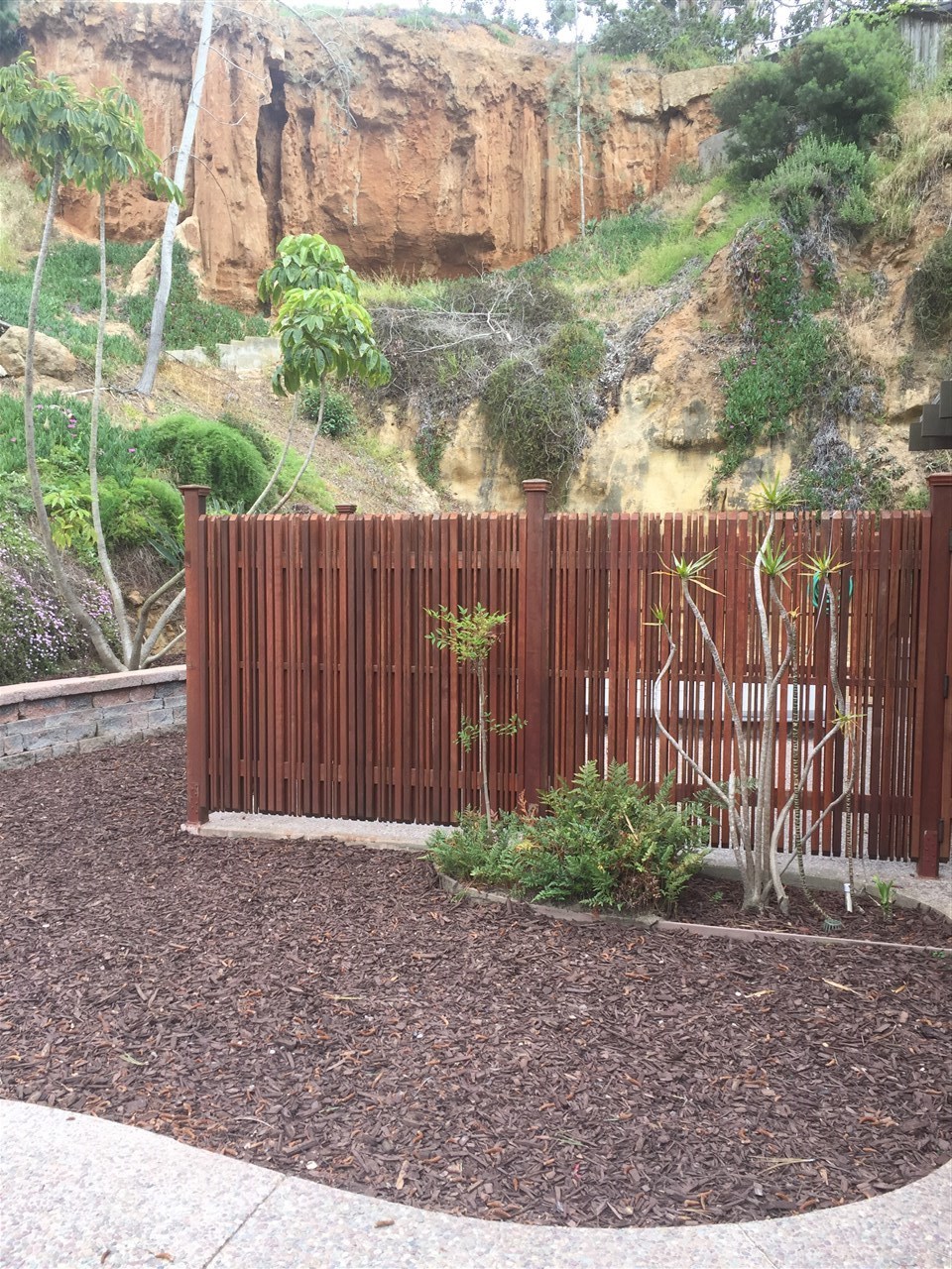 437 Pine Needles Drive Del Mar, CA 92014 - Photo 20 of 25