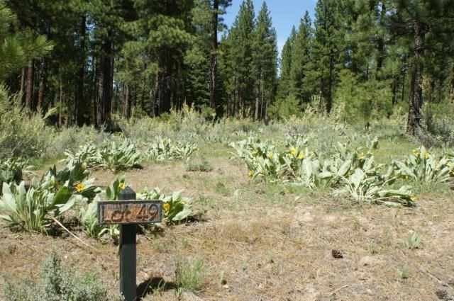 573 Bobcat Trail Clio, CA 96106 - Photo 1 of 3