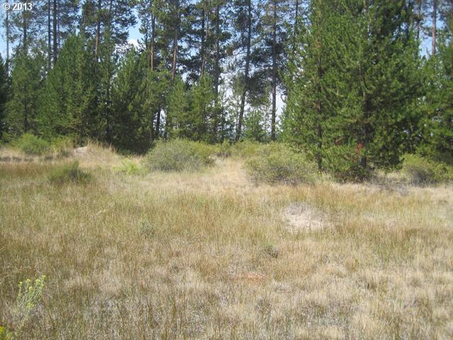 17700 Old Wood Road Bend, OR 97707 - Photo 5 of 11 Gallery Image 5