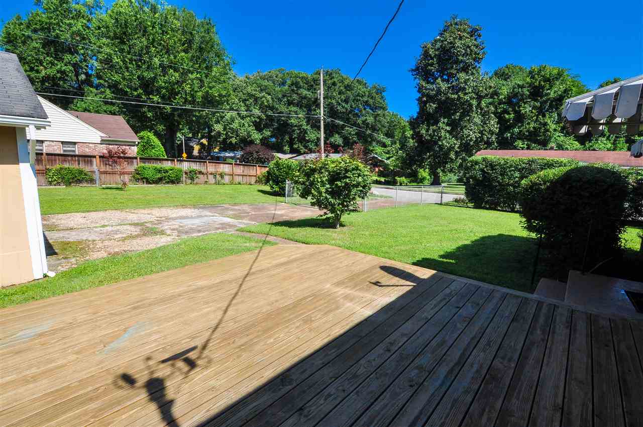 557 Mineral Road Memphis, TN 38120 - Photo 13 of 16 The backyard is surrounded by a chain fence and lush landscaping.