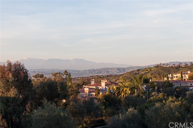 2 Peninsula Newport Coast, CA 92657 - Photo 25 of 25