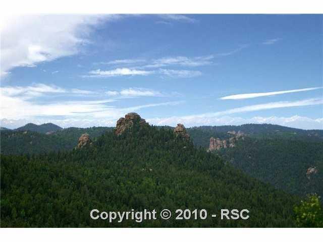 55 Homestead Road Divide, CO 80814 - Photo 5 of 16