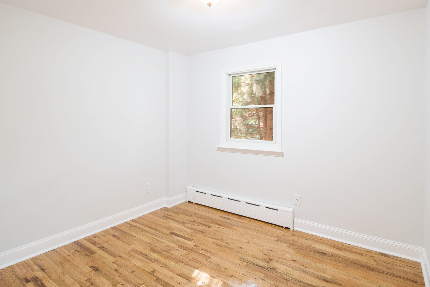 76-23 58th Road, Unit 3 Queens, NY 11379 - Photo 9 of 11