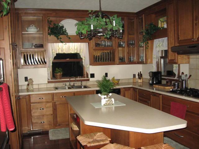 505 Firetower Road Pulaski, TN 38478 - Photo 12 of 30 Great kitchen with large island and plenty of custom cabinets with plate racks & under cabinet lighting. Lots of counter space