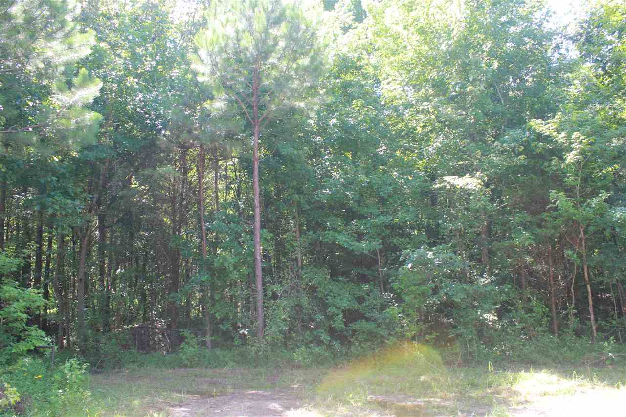 271 Red Hills Road Byhalia, MS 38611 - Photo 15 of 25 Gallery Image 15