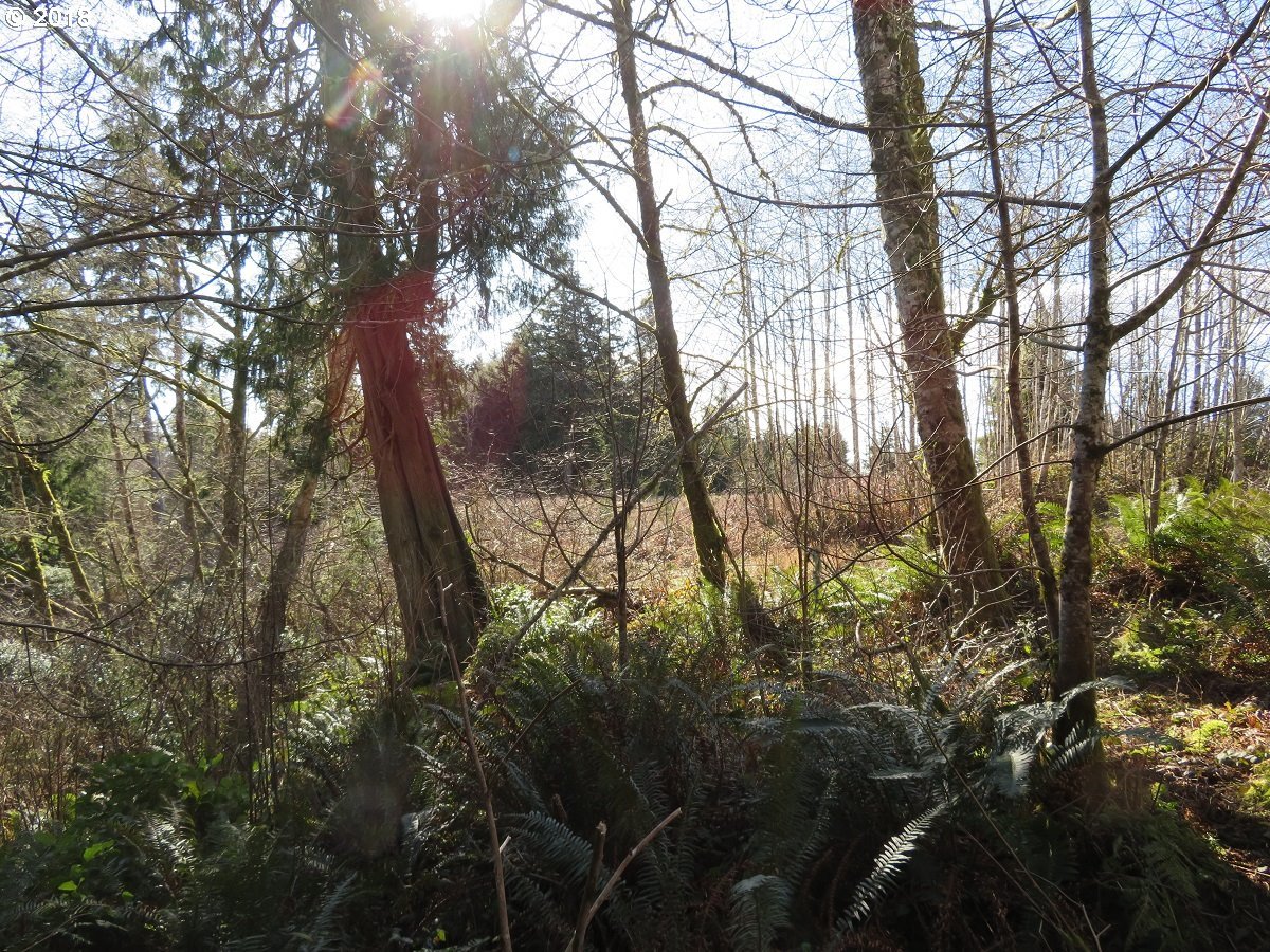 Ranta Rd Bend South Bend, WA 98586 - Photo 21 of 32 Gallery Image 21