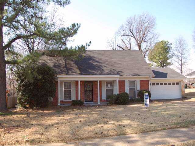3635 Clarke Road Memphis, TN 38115 - Photo 1 of 1 Gallery Image 1