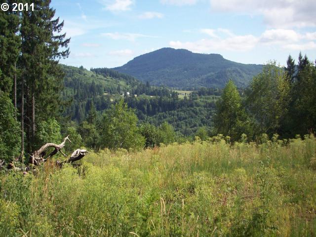 5653 Lewis River Road, Unit 2 Ariel, WA 98603 - Photo 3 of 5 Gallery Image 3