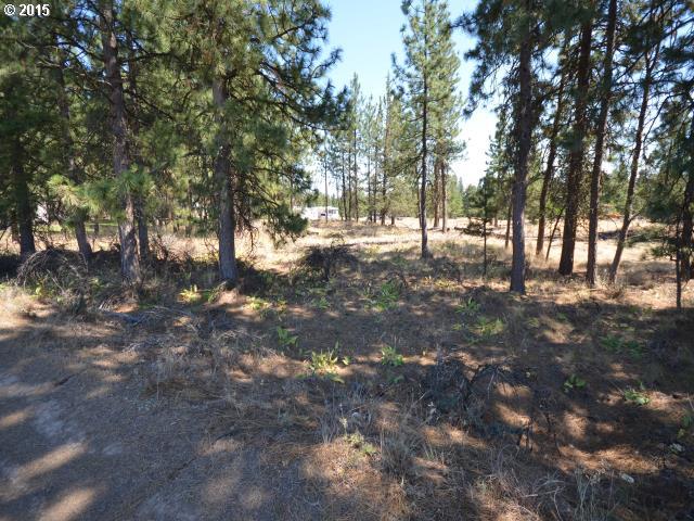 South D V Cool Road Wamic, OR 97063 - Photo 7 of 16 Gallery Image 7