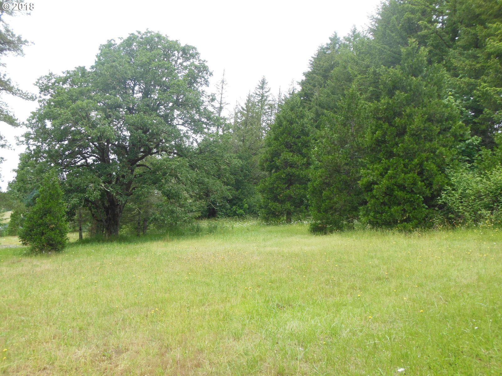 Hillside Drive Springfield, OR 97478 - Photo 5 of 15