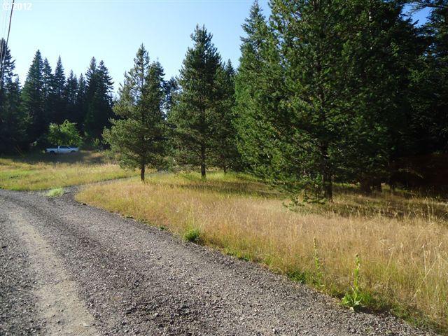61046 Ski Run Road Joseph, OR 97846 - Photo 8 of 8 Gallery Image 8