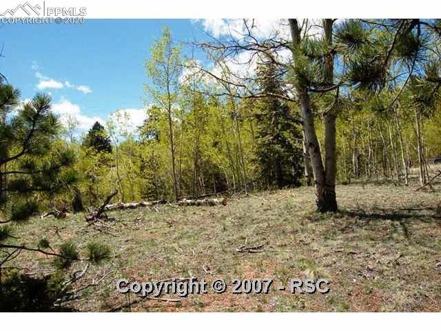 1109 Princess Road Cripple Creek, CO 80813 - Photo 5 of 8 Gallery Image 5