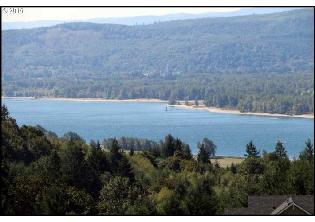 229 Falcon Road Kalama, WA 98625 - Photo 5 of 16 Gallery Image 5
