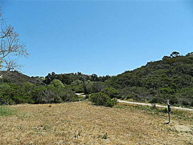 1602 Swallowtail Road Encinitas, CA 92024 - Photo 25 of 25