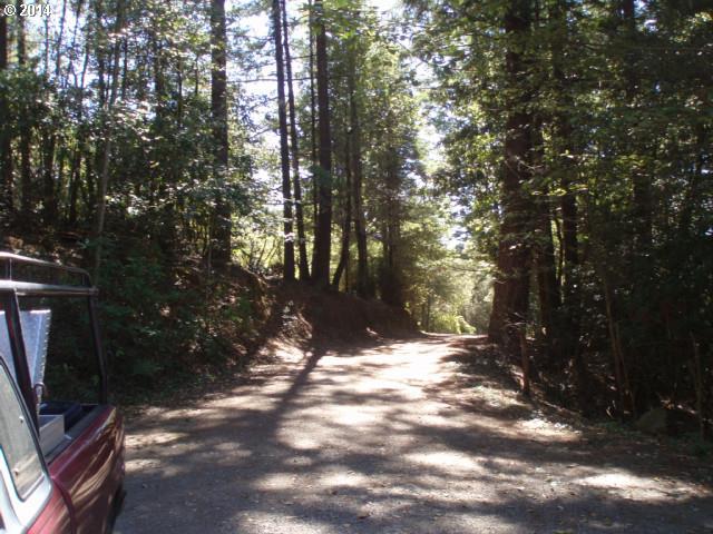 18400 Taylor Creek Road Brookings, OR 97415 - Photo 14 of 14 Gallery Image 14