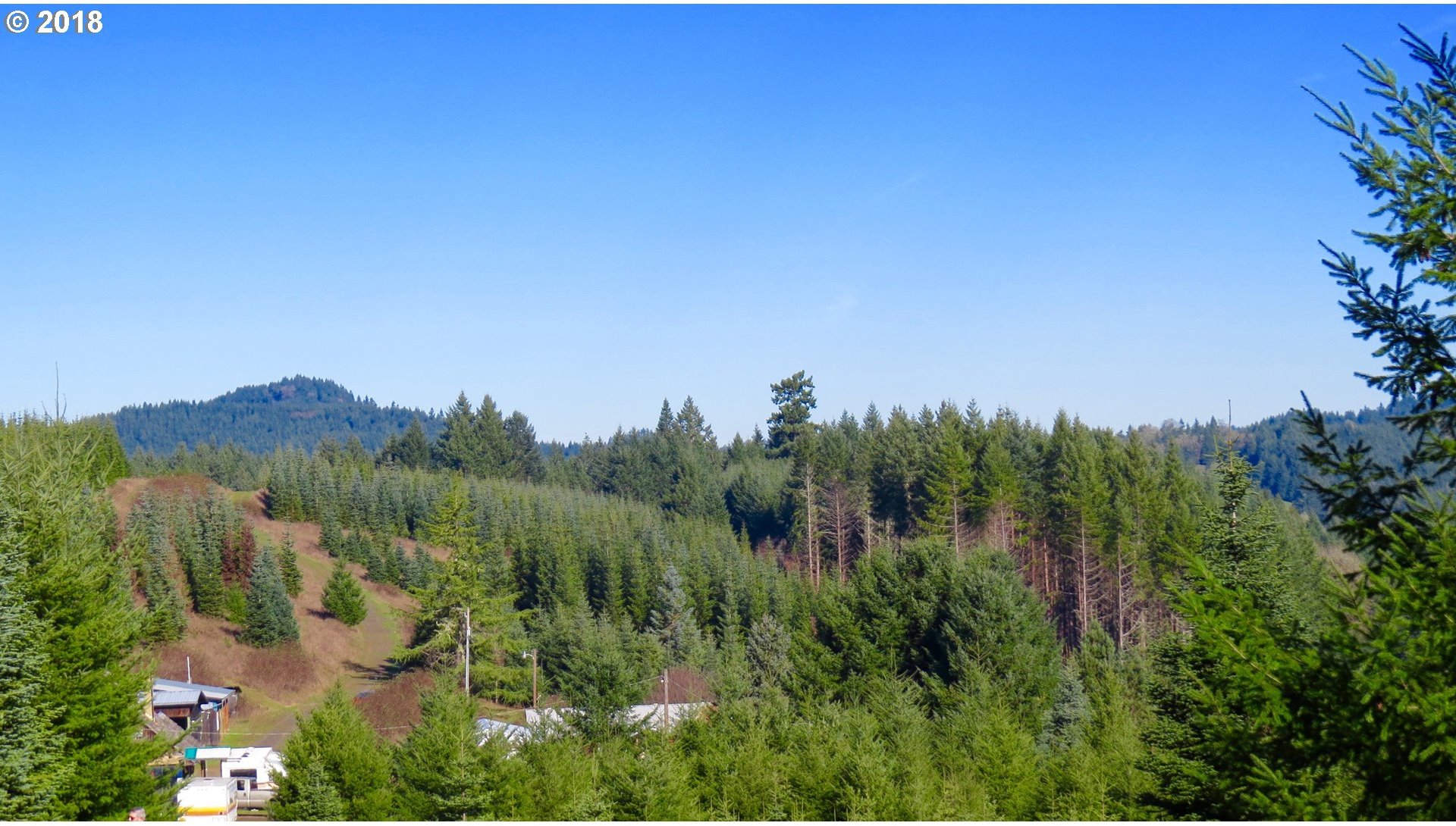 6567 Boswell Road Yoncalla, OR 97499 - Photo 11 of 17