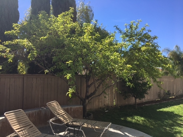 1066 Mt Whitney Road Chula Vista, CA 91913 - Photo 15 of 17