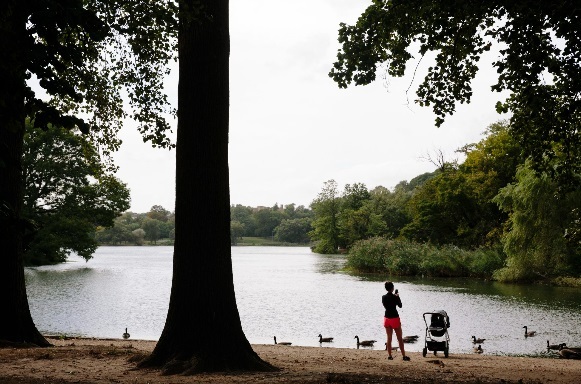 245 16th Street, Unit 4 Brooklyn, NY 11215 - Photo 10 of 11