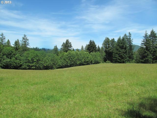 Bear Prairie Road Washougal, WA 98671 - Photo 2 of 5 Gallery Image 2