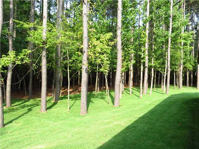 6284 Bending River Road Bartlett, TN 38135 - Photo 9 of 10