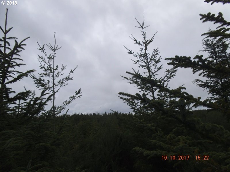 0 County Dump Road Bandon, OR 97411 - Photo 6 of 14 Gallery Image 6
