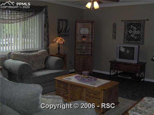 1209 Wooten Road Colorado Springs, CO 80915 - Photo 4 of 15 Beautifully Decorated Living Room w/Custom made Blinds